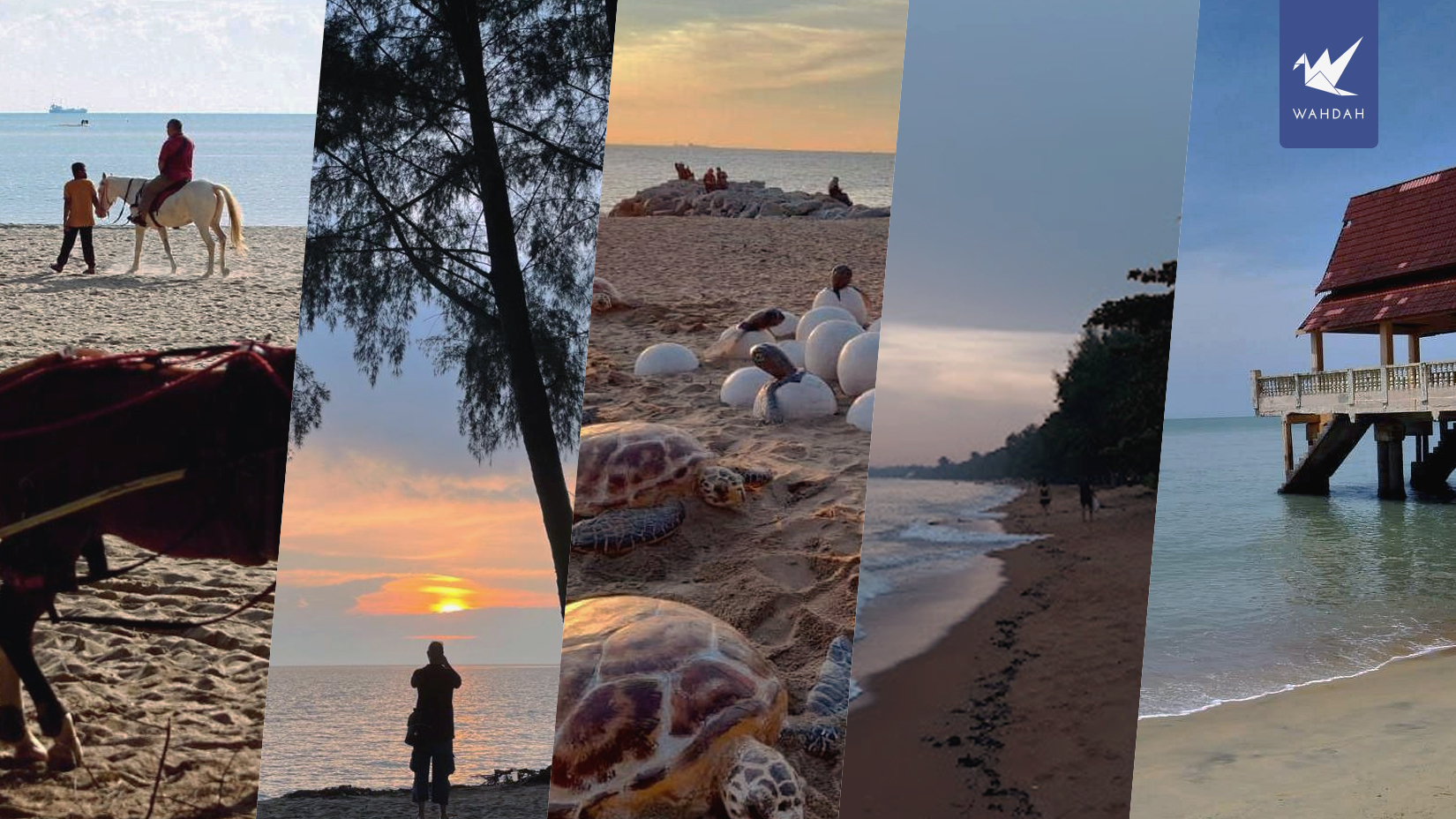 Top 5 Melaka Beaches for Serene Nature Therapy